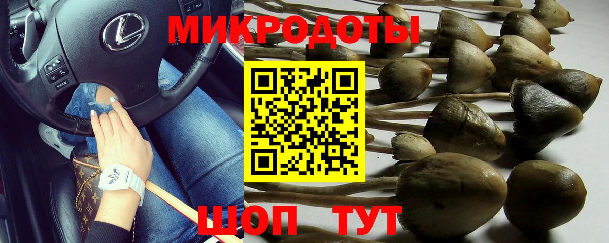 Псилоцибиновые грибы прущие грибы Бийск